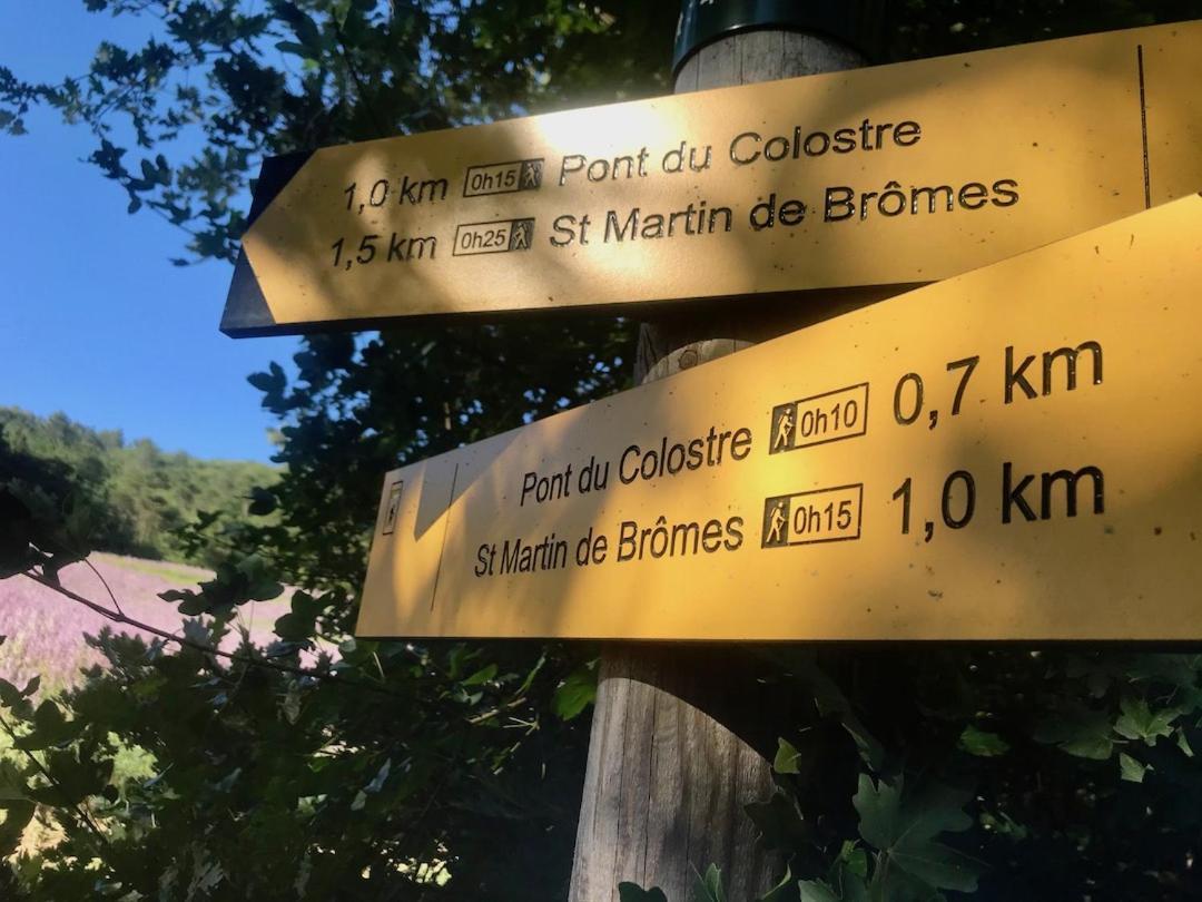 Le Colostre T2 Saint-Martin-de-Brômes Екстериор снимка